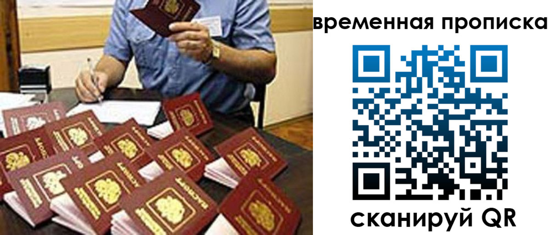 прописка для школы в Курчатове